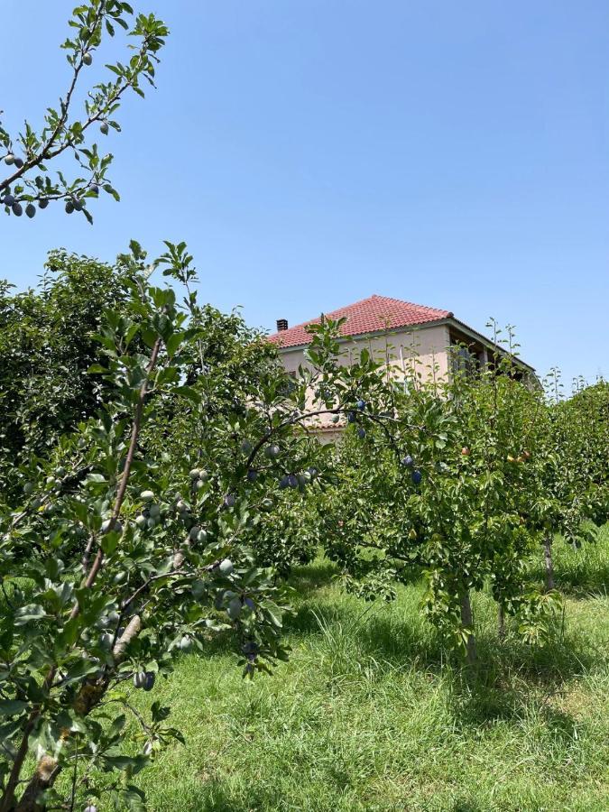 Villa Mance Berat Eksteriør billede